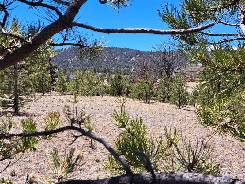 1038 Costella Dr, Hartsel, CO 80449