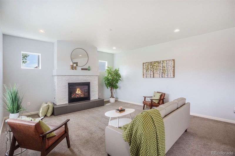 1018 Mcmurdo Cir, Castle Rock, CO 80108
