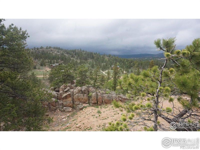 180 Ada Ct, Red Feather Lakes, CO 80545