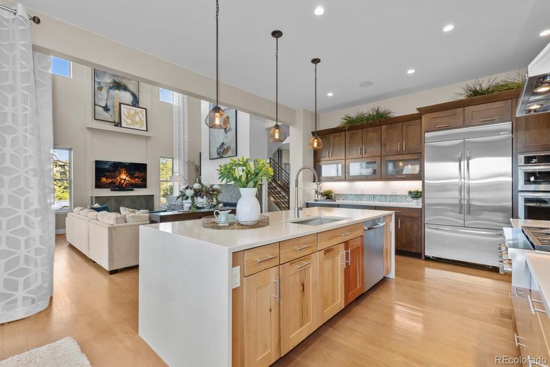 481 Meadowleaf Ln, Highlands Ranch, CO 80126