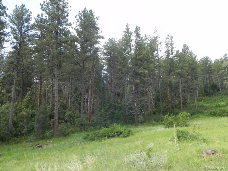 8448 Crow Pl, Larkspur, CO 80118