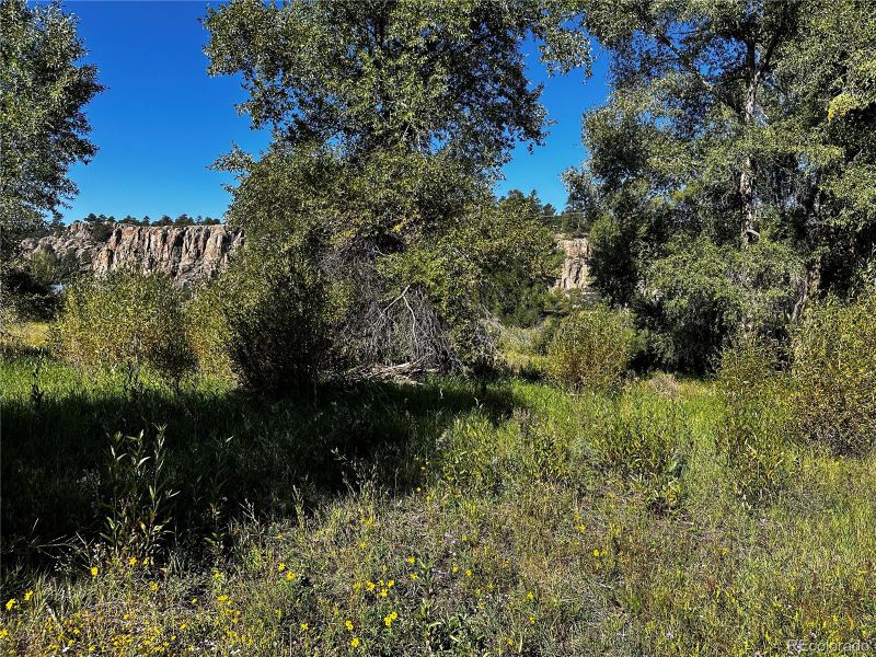 169209 Escondida Dr, South Fork, CO 81154