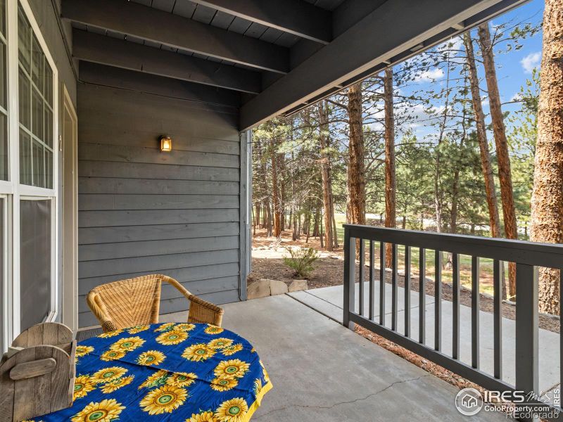 160 Riverside Dr #2, Estes Park, CO 80517