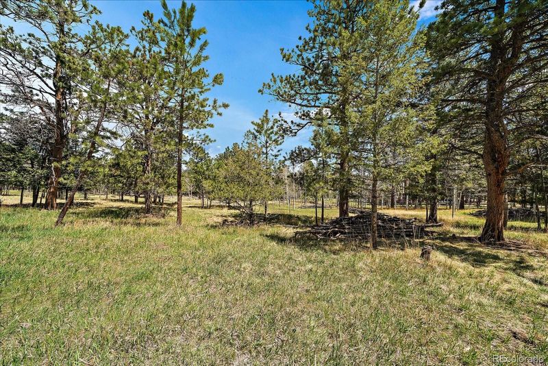 Burland Dr, Bailey, CO 80421