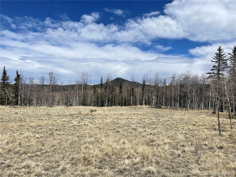 400 Vulture Ln, Como, CO 80432
