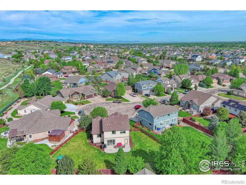 2069 Vineyard Ct, Windsor, CO 80550