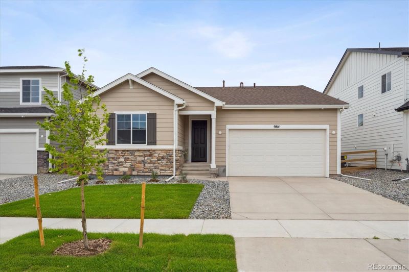 984 Sandhills St, Windsor, CO 80550