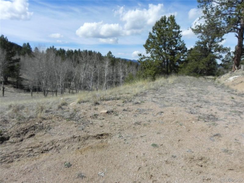 160 Broken Arrow Pa Lot 7, Lake George, CO 80827