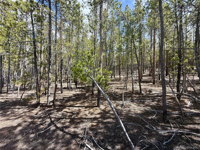 1127 Sequoia Dr, Twin Lakes, CO 80461