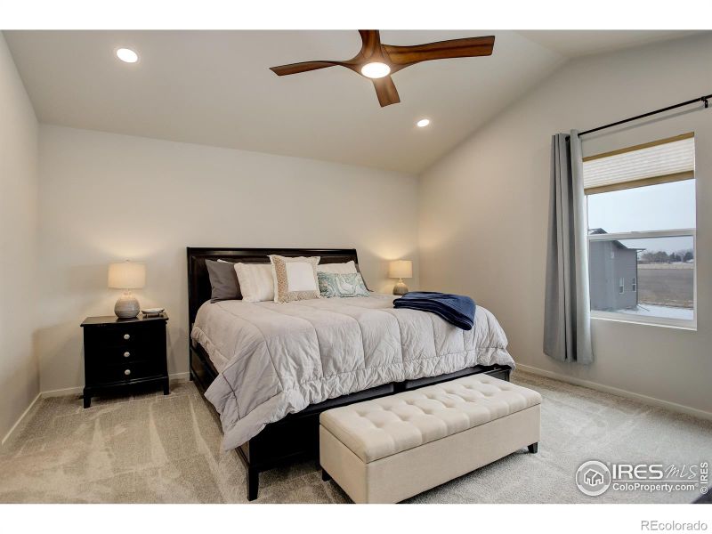 5276 Blainville St, Timnath, CO 80547