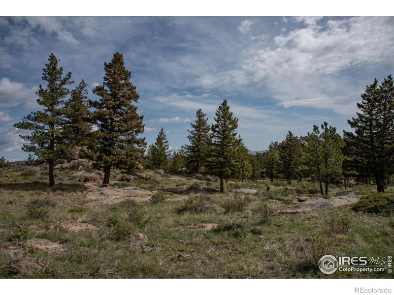 22 Mount Apiatan Ct, Livermore, CO 80536