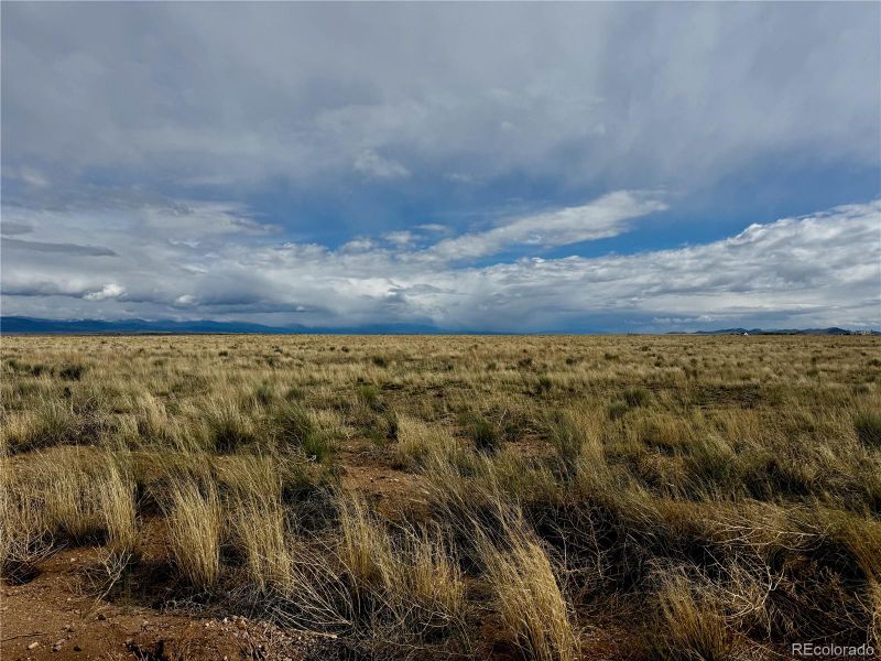 Lot 17 Dowd Rd, Blanca, CO 81133
