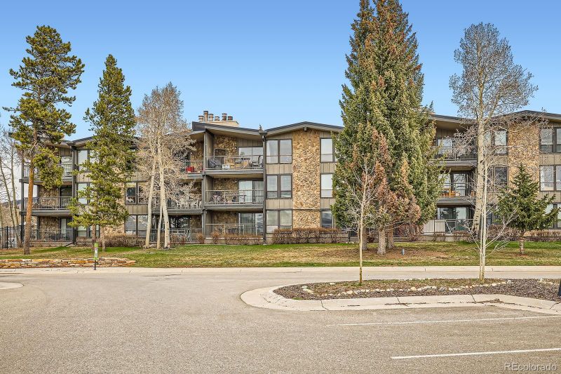120 E La Bonte St #109, Dillon, CO 80435