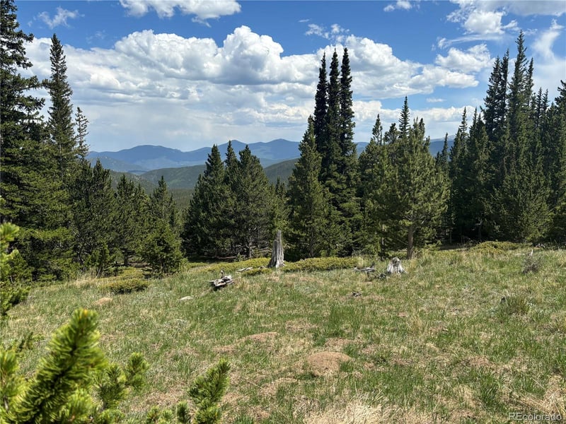 Hilltop Rd, Idaho Springs, CO 80452