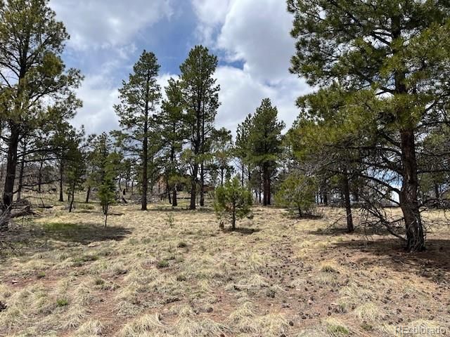 Lot 291 Dany Pl, Fort Garland, CO 81133