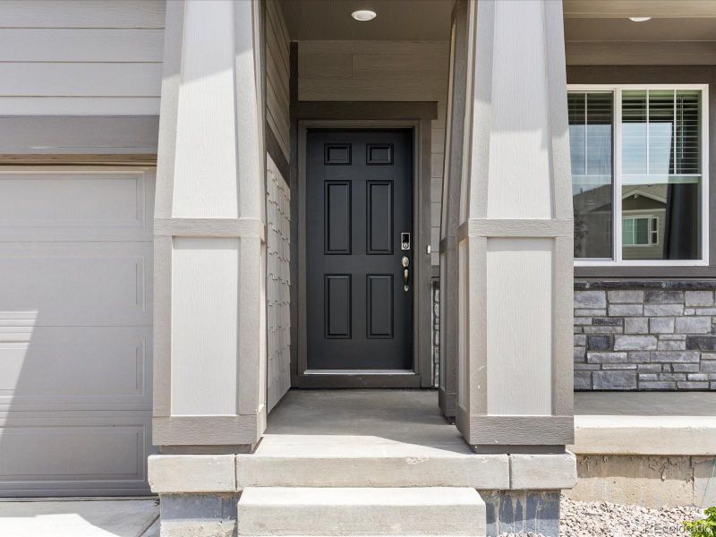 1675 Rumley Creek Dr, Windsor, CO 80550