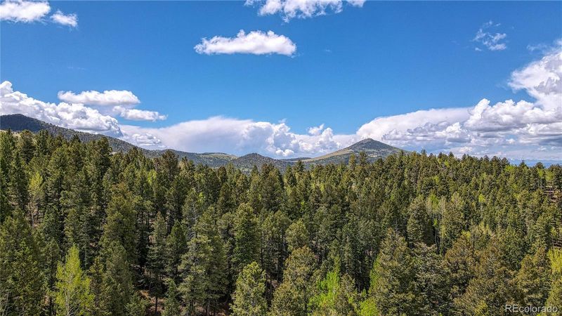 1058 Bennett Dr, Cripple Creek, CO 80813