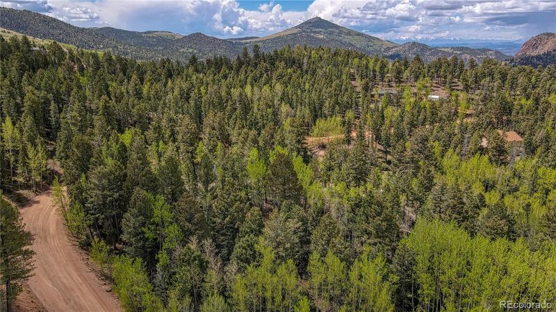 1058 Bennett Dr, Cripple Creek, CO 80813