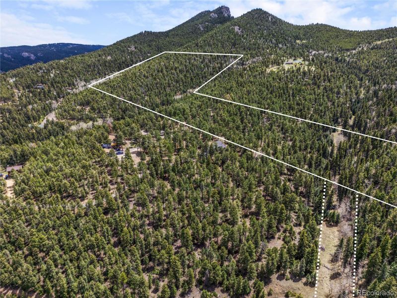 25654 S Black Hawk Trl, Conifer, CO 80433