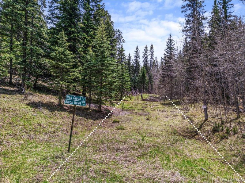 25654 S Black Hawk Trl, Conifer, CO 80433