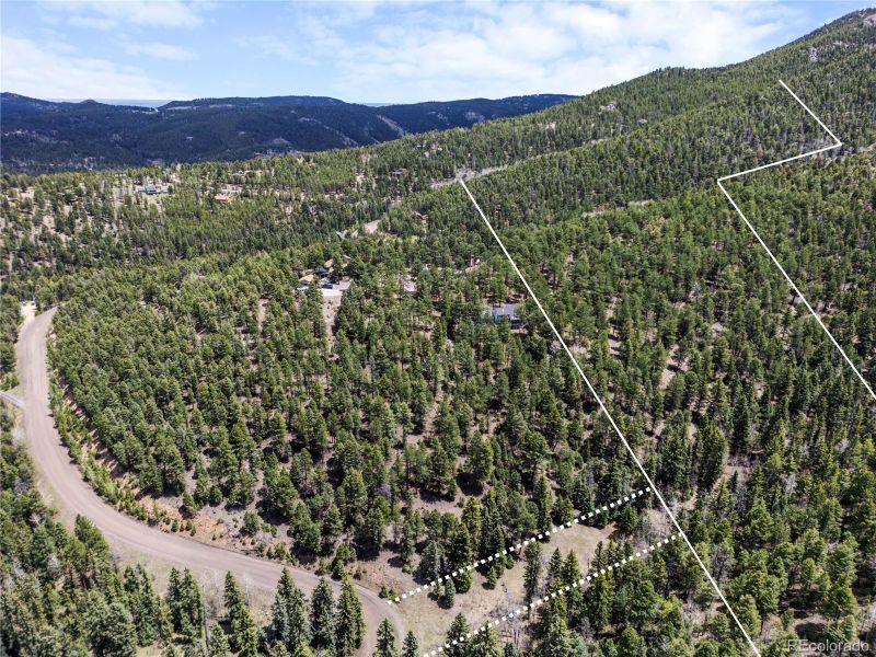 25654 S Black Hawk Trl, Conifer, CO 80433