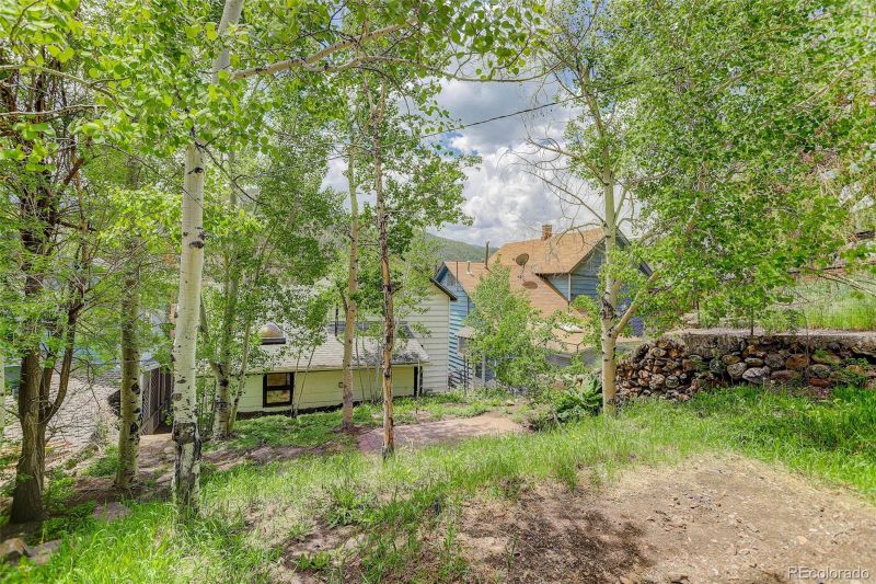 1324 Virginia St, Idaho Springs, CO 80452
