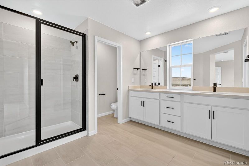 4334 Ridgewalk Point, Castle Rock, CO 80108