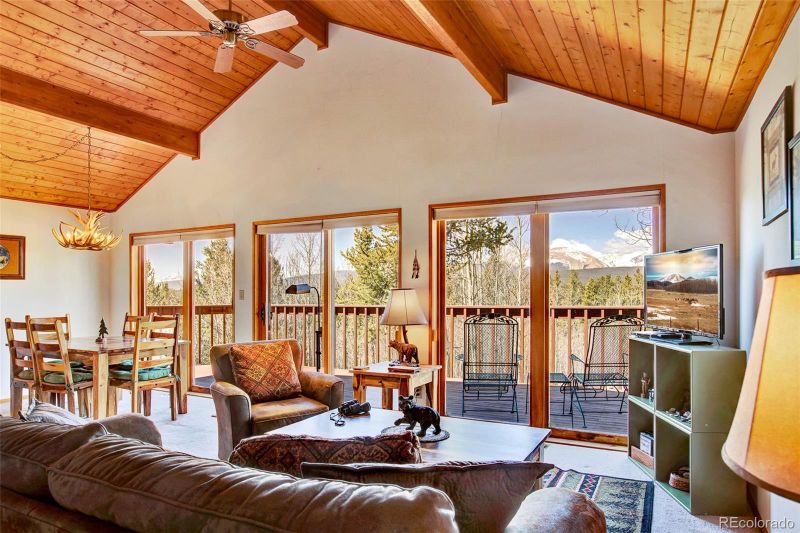 232 Quarry Rd, Fairplay, CO 80440