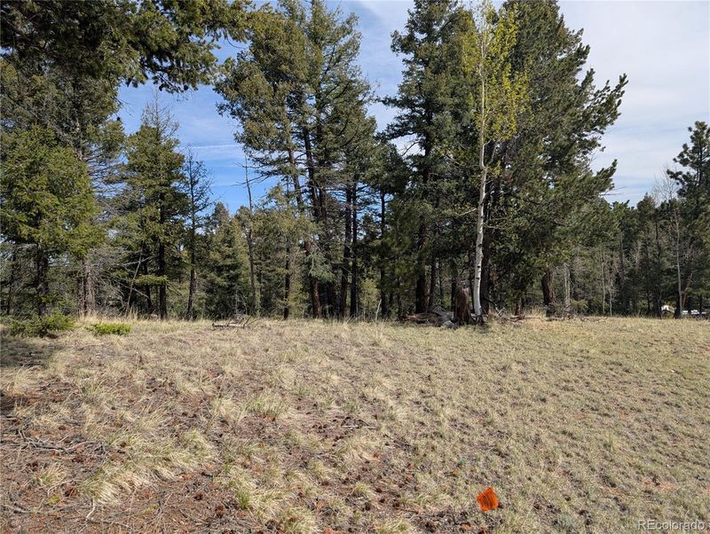 971 Spring Valley Ln, Florissant, CO 80816