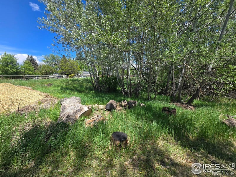 2001 W Prospect Rd, Fort Collins, CO 80526