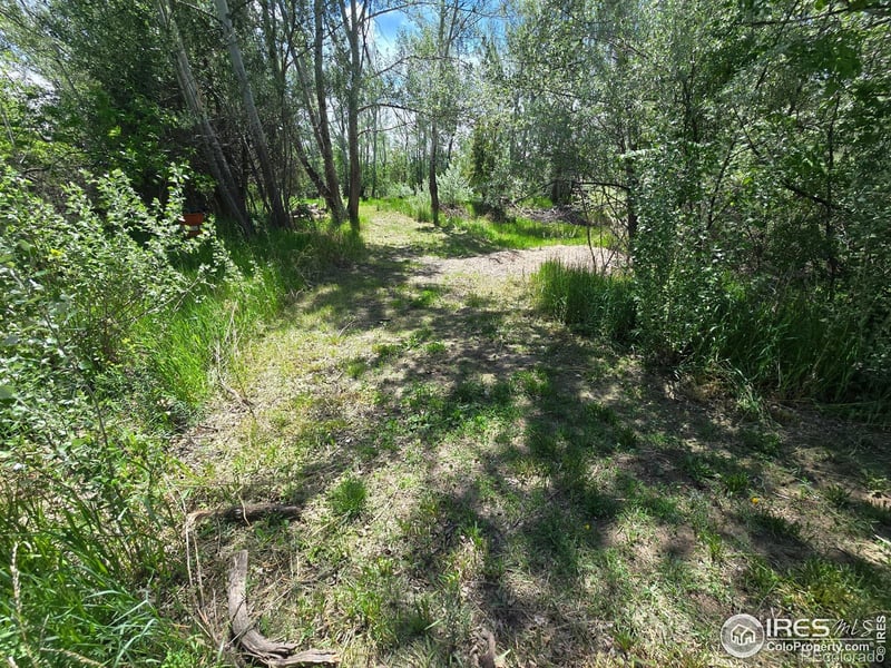 2001 W Prospect Rd, Fort Collins, CO 80526