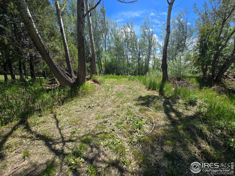 2001 W Prospect Rd, Fort Collins, CO 80526