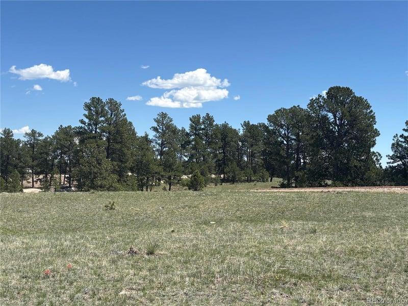 Parcel 1 Highway 86, Kiowa, CO 80117