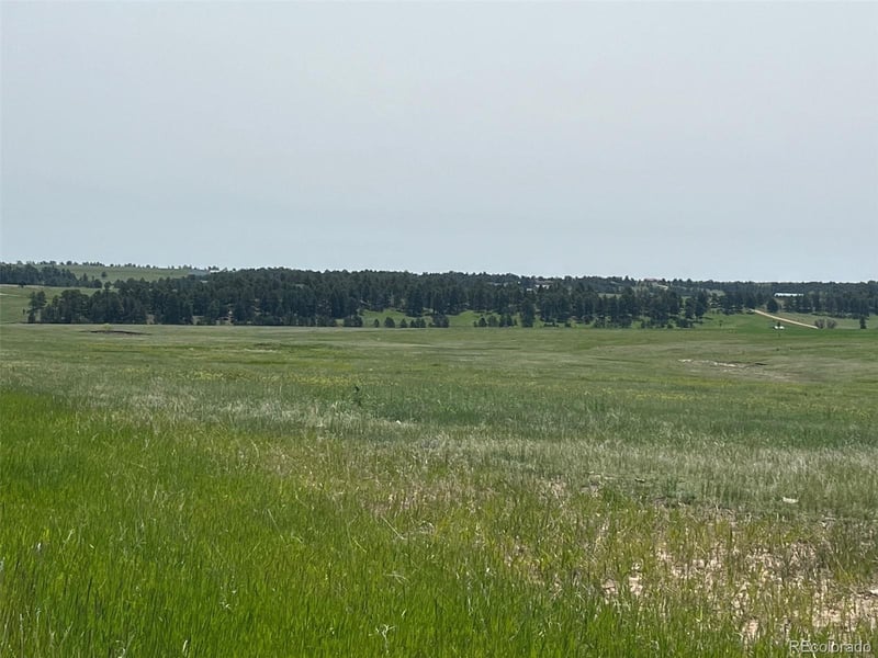 21450 County Road 37, Elbert, CO 80106