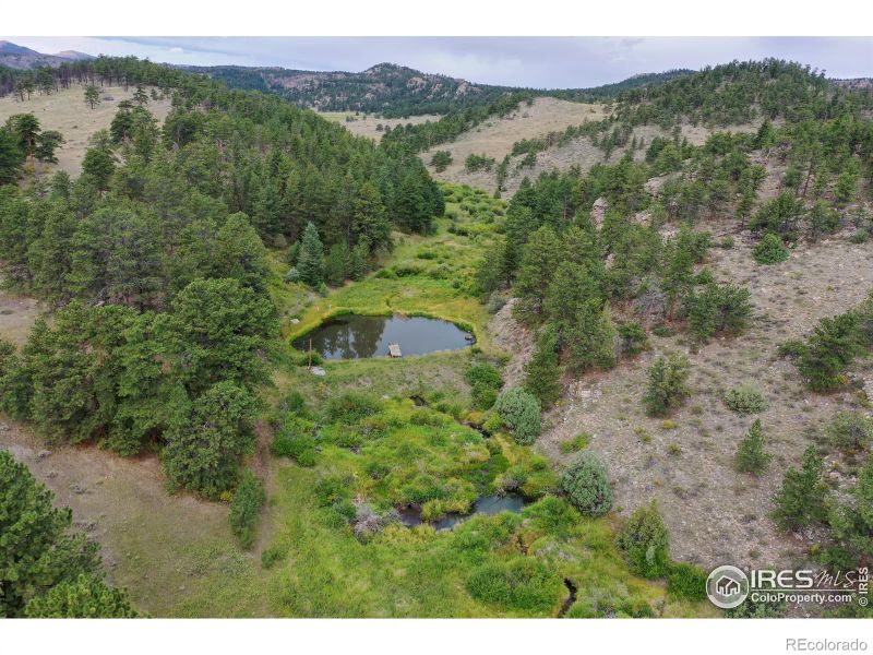 0 W County Road 68c, Red Feather Lakes, CO 80545