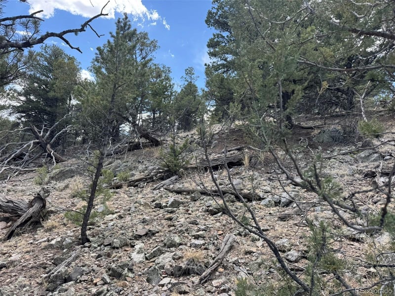 Tbd 33rd, Cotopaxi, CO 81223