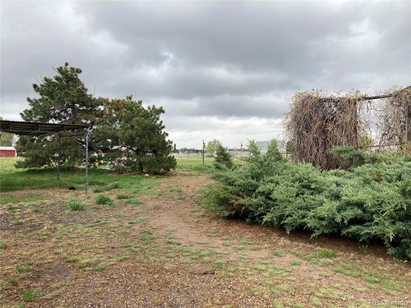 12904 N 3rd St, Parker, CO 80134