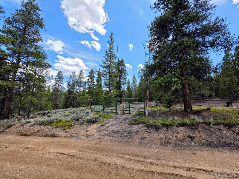 160 Ponderosa Dr, Twin Lakes, CO 81251