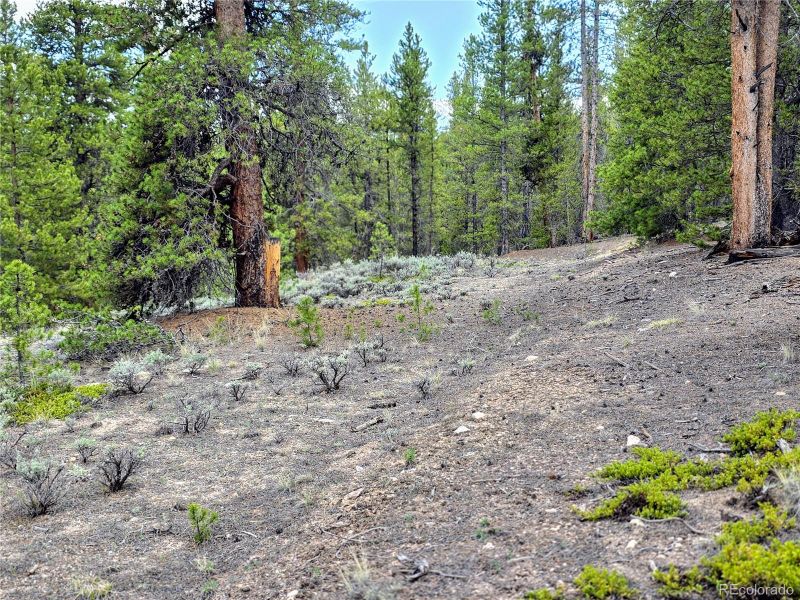 160 Ponderosa Dr, Twin Lakes, CO 81251