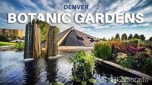 1060 N Washington St #1A, Denver, CO 80203