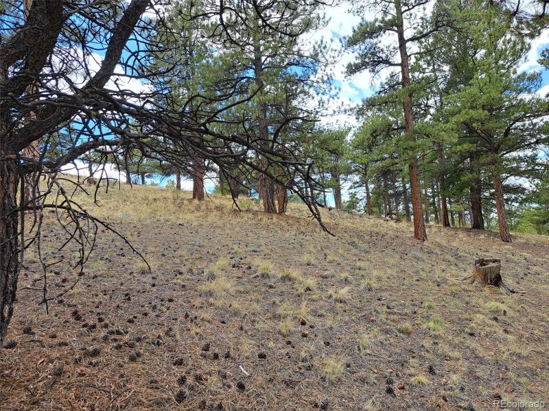 0 Spring St, Hartsel, CO 80449