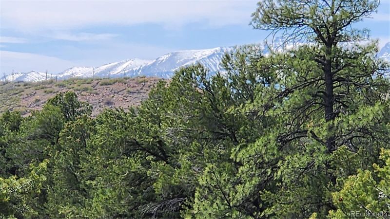 TBD L 20th Trl, Cotopaxi, CO 81223