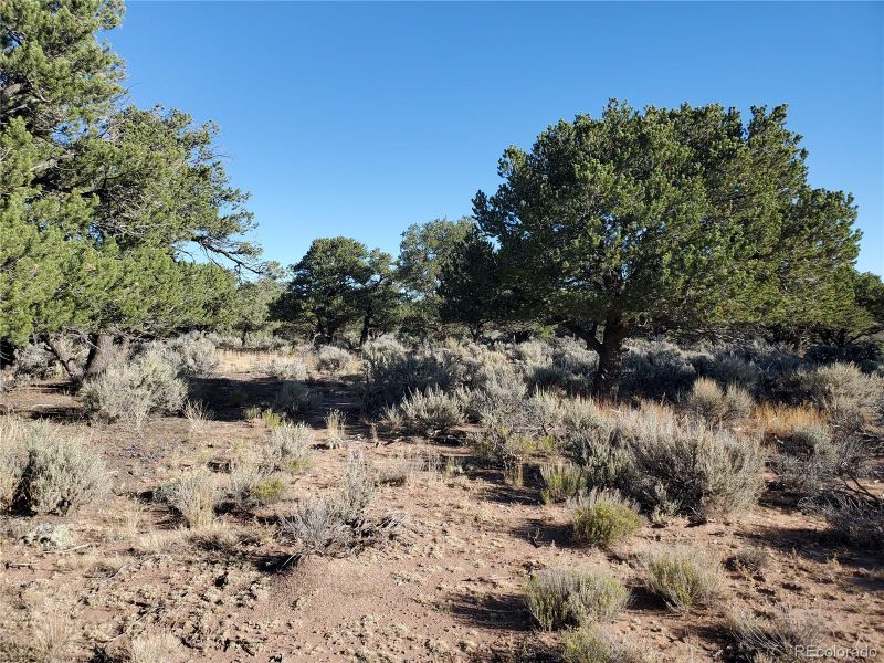 Lot 3475 Mitchell Rd, Fort Garland, CO 81133