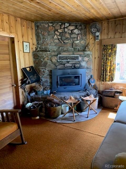 305 Happy Top Trl, Bailey, CO 80421