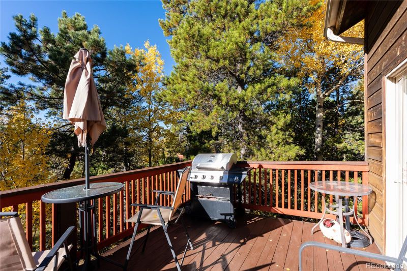 11526 Green Cir, Conifer, CO 80433