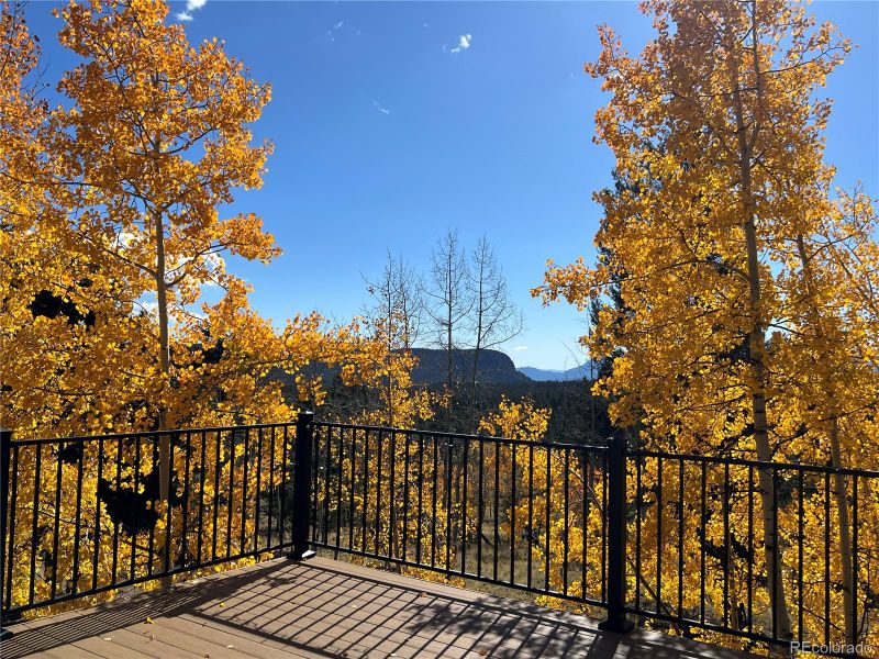 2169 Vigilante Ave, Bailey, CO 80421