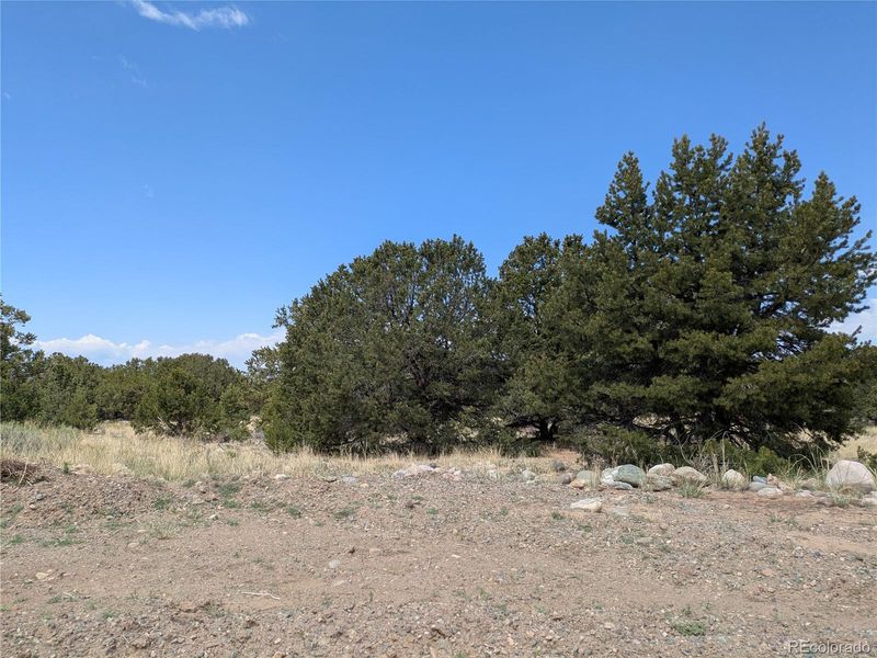 3431 W Graceful Ct, Crestone, CO 81131