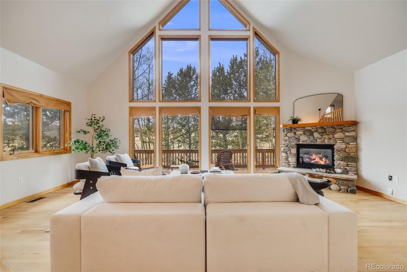 84 Thurber Ct, Fairplay, CO 80440