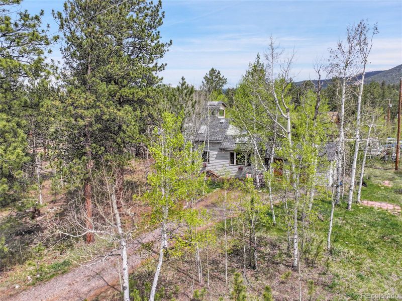 101 Campbell Rd, Bailey, CO 80421