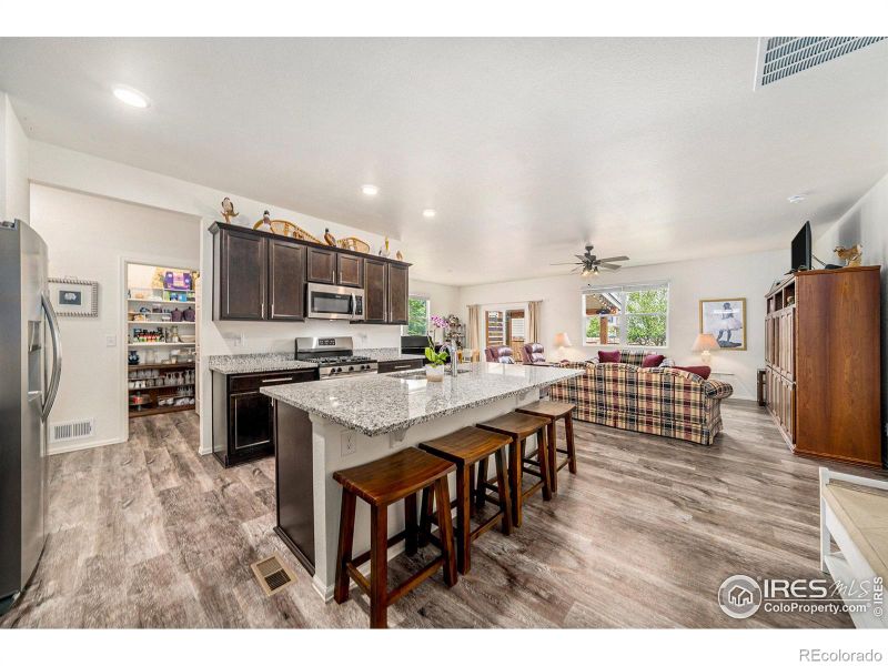926 Birchdale Ct, Windsor, CO 80550